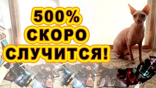 💞🎁🤑 ШОК! 500% СЧАСТЬЕ СЛУЧИТСЯ 💥 ВНЕЗАПНО!!!РАСКЛАД ТАРО #shorts #таро #тайны #alenaaries #сегодня