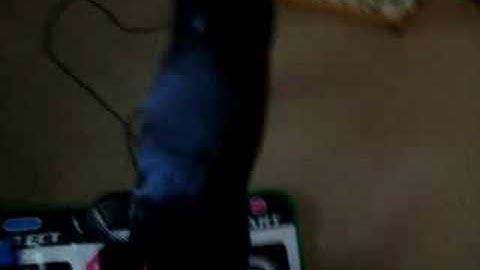 Dog fails at DDR