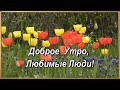 ДОБРОЕ УТРО! 💫 ТАКИЕ ПРОСТЫЕ И НЕПРОСТЫЕ СЛОВА: БУДЬТЕ ЗДОРОВЫ!💖