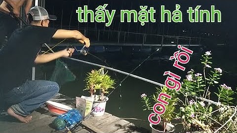 CÂU CÁ SÔNG - CÂU CÁ MÈ DÃNH - TRÚNG BẦY CÁ ĂN ĐÊM - KÉO LIÊN TỤC - VIDEO 204