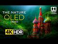 Nature 4K OLED Demo – Nature in Motion HDR Dolby Vision