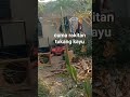 ceksoun rakitan tukang kayu