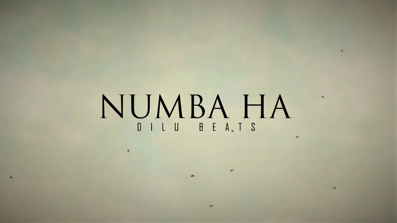 DILU Beats   Numba Ha Suraganak Wilasa   Official Lyrics Video