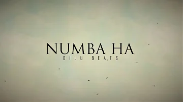 DILU Beats - Numba Ha (Suraganak Wilasa) - Official Lyrics Video