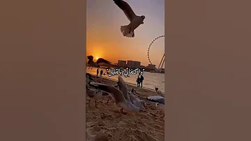 ياجبال الهم زولي 