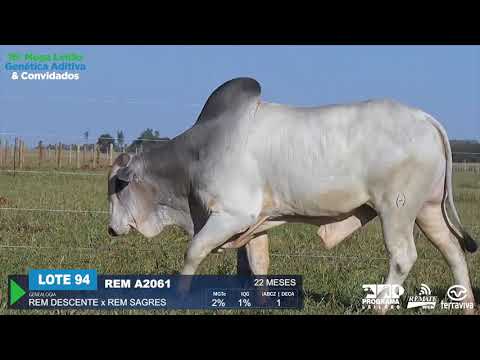 LOTE 94 - DUPLO - 16º Mega Leilão Genética Aditiva e Convidados