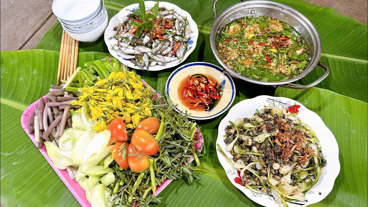 Lẩu Cá Linh Bông Điên Điển | Ốc Đắng Xào Củ Kiệu | TQMT #343