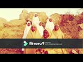 Sabuwar Kasida Mai Suna Komai Saida Kai Daga Ahbabu Rasulillah Sabuwar Kasida Mai Suna Komai Saida Kai Daga Ahbabu Rasulillah