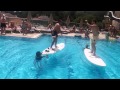 cettia hotel surfing pt.3