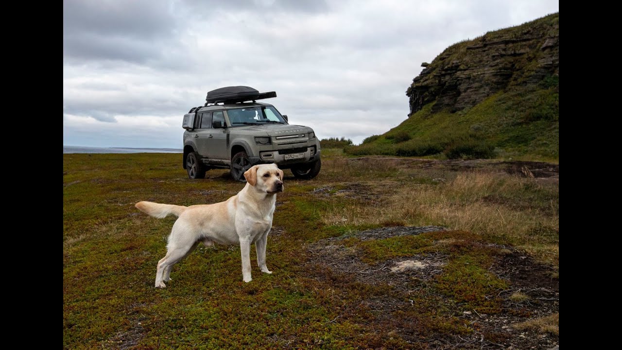 ARCTIC TRIP 2021. Полуостров Рыбачий. Мыс Немецкий