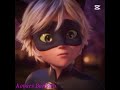 Miraculous Awakening Cat Noir 🐈‍⬛