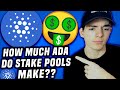 How much do Cardano stake pool owners/ operators make? (SPOs)