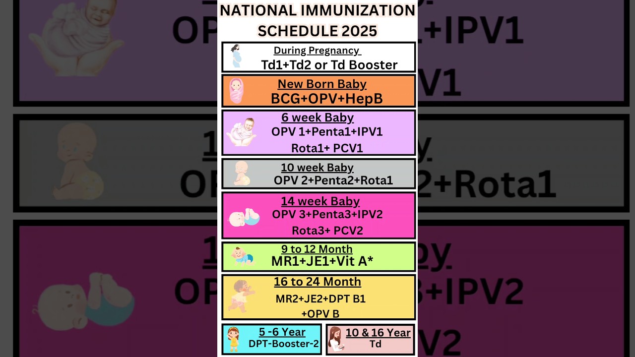 Immunization Schedule In Hindi 2025