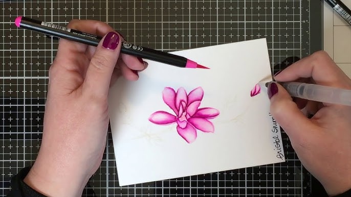 Arteza Brush Pens Botanical Art — The Art Gear Guide