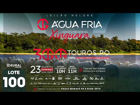LOTE 100
