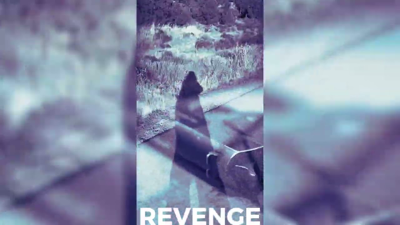 A64 - REVENGE