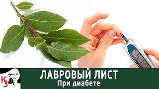 Диабет Свойства ЛАВРОВОГО ЛИСТА для больных сахарным диабетом Диабет Свойства ЛАВРОВОГО ЛИСТА для больных сахарным диабетом