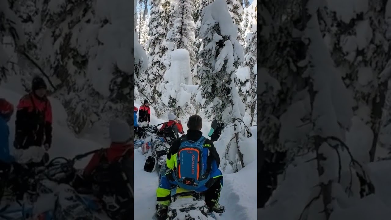Being Surrounded by Snowy Pines with your Buddies just Hits Different. 🌲👌🏼