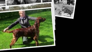 thendara 2016 HD 720p by thendara show dogs 326 views 7 years ago 4 minutes, 17 seconds