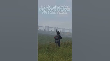 DayZ Is Killin’ Every Survivor Softly #shorts #dayz