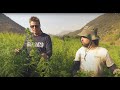 Strain Hunters South Africa Expedition - Episode 2