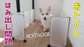 愛犬がトイレをはみ出すのでDIYしてみました【100均】