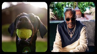 The Making of Petco's Snoop Dogg commercial by Petco 3,872 views 5 months ago 1 minute, 31 seconds