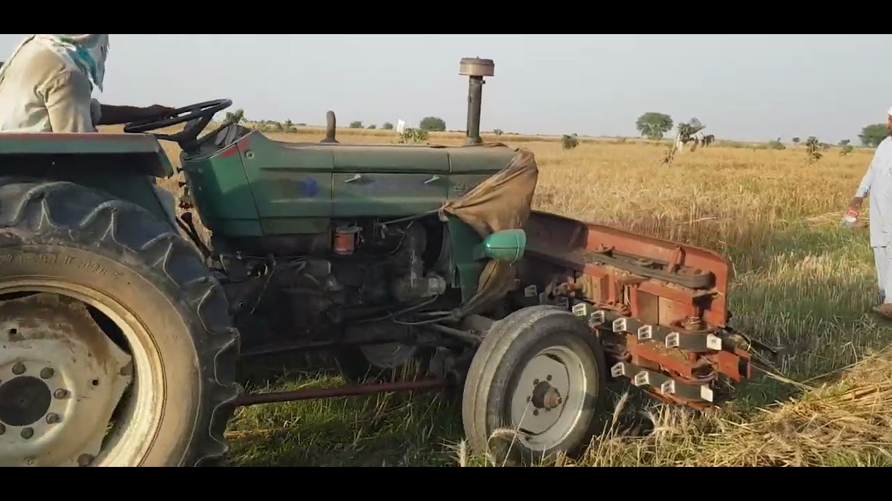 Wheat Cutter Machine Reaper Al Ghazi Tractor Working Agricultur Punjab
