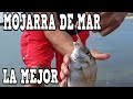 PESCANDO MOJARRAS DE MAR EL TESORO  BIEN APRECIADO DELICIOSAS SEAFOOD SCUP FISH