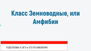 Класс Земноводные, или Амфибии
