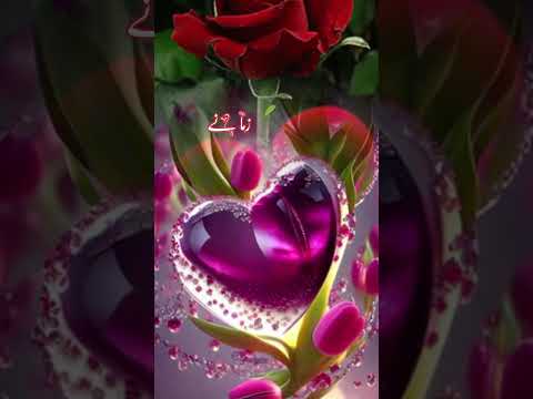 گفتگو شیری تھی جن کا لہجہ تھا لاجواب Short Video