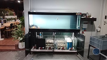 ฺBoss พุงพลุ้ย ปทุมธานี - งานระบบ Overflow Full Services ตู้ปลาทอง 72 24 24 กรองล่างจุดให้เต็มระบบ