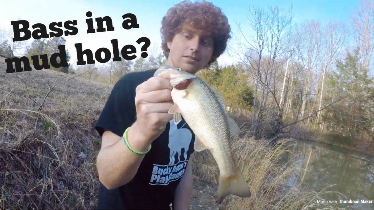 pond bass fishing rigs Catching Bass in a Mud Hole!