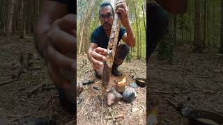 survival ideas that can make cooking easier #lifehacks #bushcraft #survival #tipps