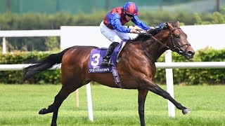 HIGHBURY looks invincible at Leopardstown Resimi