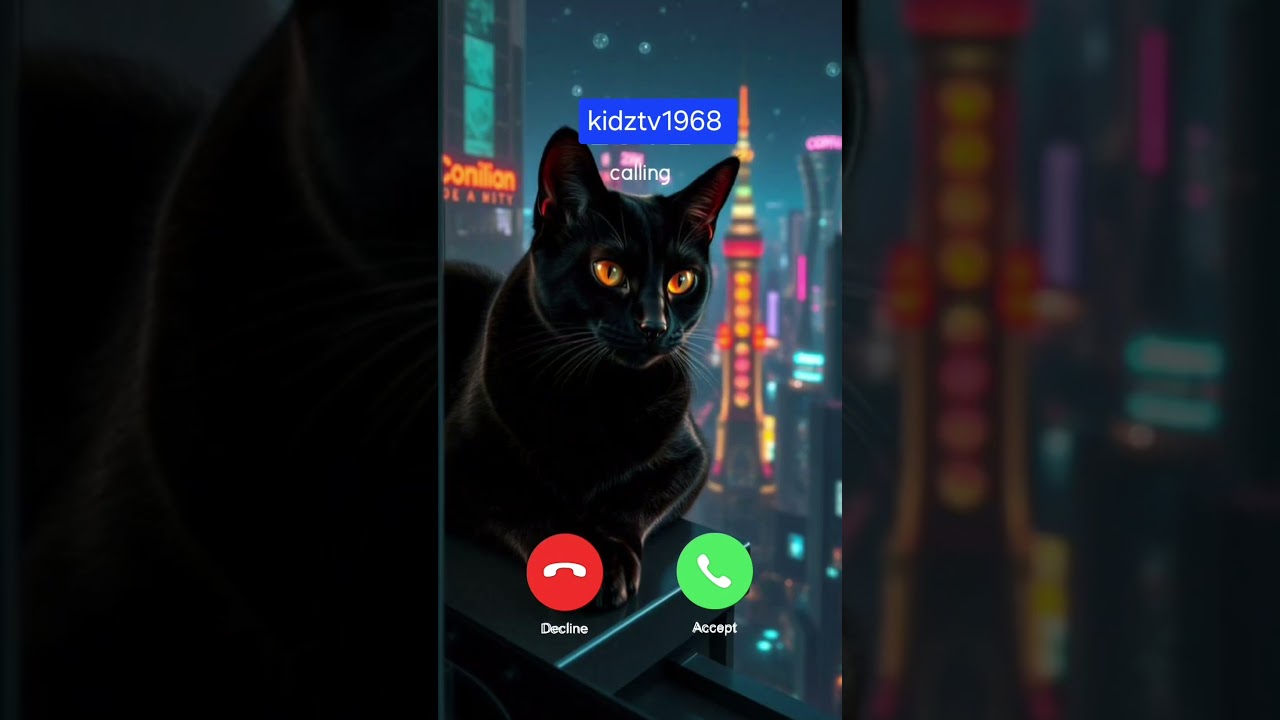 These Kittens Will Melt Your Heart 😍 