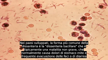 Come curare la dissenteria?