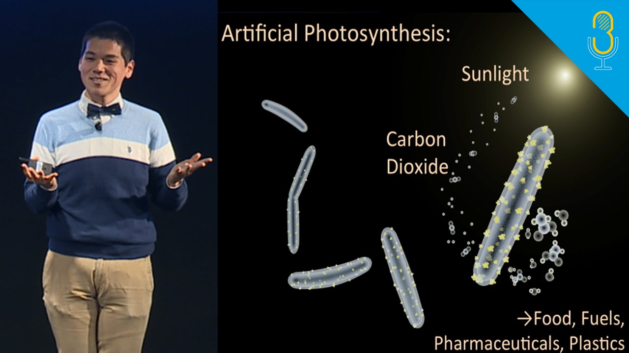 Rewriting evolutionary history: cyborg bacteria for high-efficiency photosynthesis