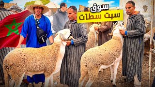 اليوم من سوق سبت سطات🇲🇦مع أثمنة الحولي عيد الأضحى🐑و فرق بين شراء بليل ونهار🤑نتيجة ارتفاع الأسعار‼️