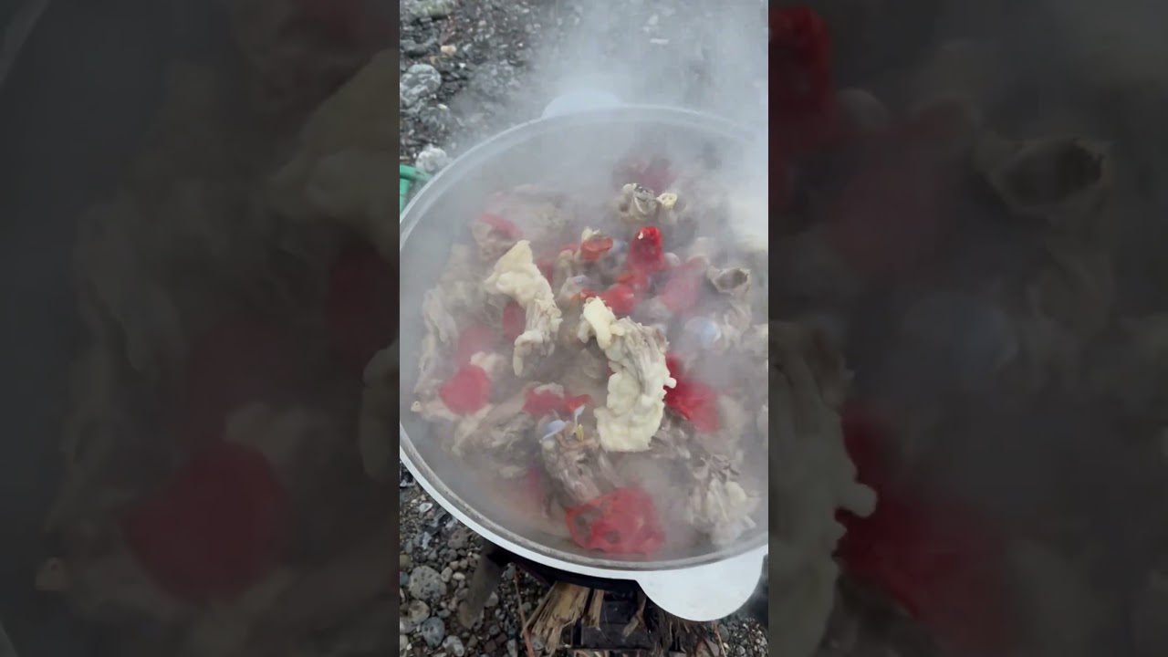 12 марта 2024 г.