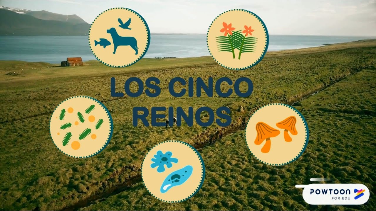 Los Cinco Reinos - YouTube