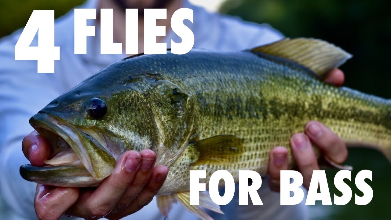 Top 4 Bass Flies: Fly-Fishing for Bass *ONLY 4 Flies You Need*