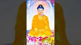 Download Lagu Sutra amitabha NAMO PEN SHI SHI CIA MO NI FO song MP3 Download Lagu Sutra amitabha NAMO PEN SHI SHI CIA MO NI FO song MP3