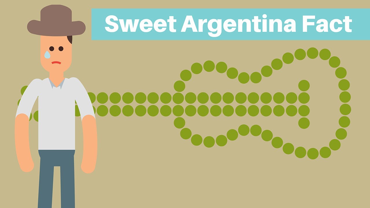 Sweet Argentina Fact - YouTube