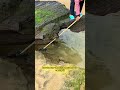 👏🎉 She saved the nearby residents.#shorts