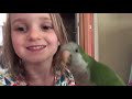 Why I Let Lefty The Quaker Parrot BITE My Niece