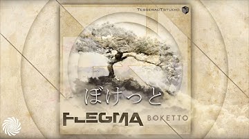 Flegma - Boketto