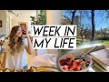 WEEK IN MY LIFE | feeling down, spring clothing haul, new workout, & cooking meals!