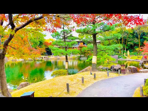 4K Japan Walk - Beautiful Japanese Garden in Nagoya (Tokugawaen) | Koi Fish | Nagoya Winter 2020