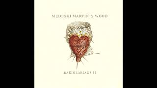 Medeski Martin & Wood ‎– Chasen Vs. Suribachi